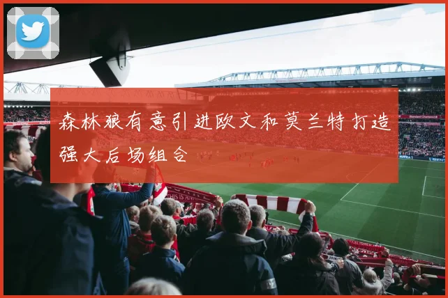 森林狼有意引进欧文和莫兰特打造强大后场组合