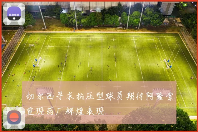 切尔西寻求抗压型球员期待阿隆索重现药厂辉煌表现