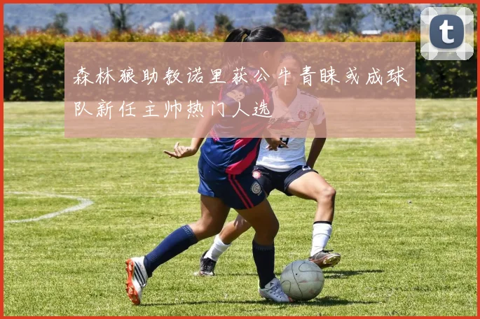 森林狼助教诺里获公牛青睐或成球队新任主帅热门人选