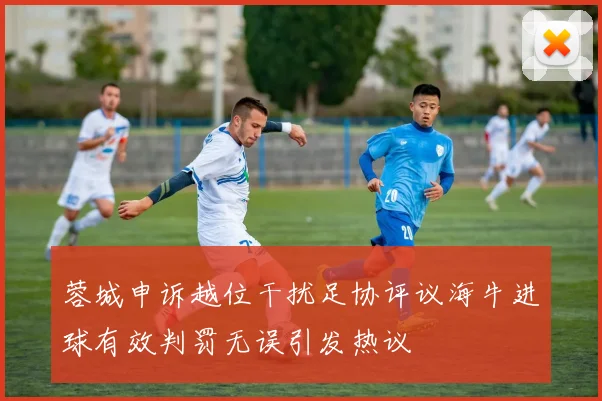 蓉城申诉越位干扰足协评议海牛进球有效判罚无误引发热议